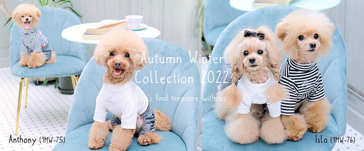 Autumn Winter Collection｜犬服・ワンマイルウォーキーズ（1 mile walkies）