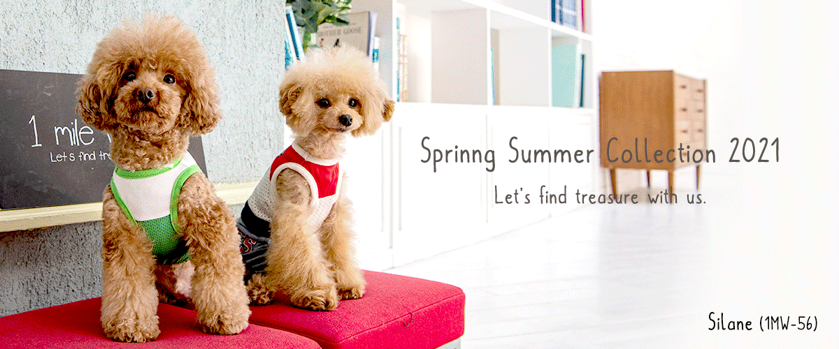 Spring Summer Collection 2021｜犬服・ワンマイルウォーキーズ（1 mile walkies）