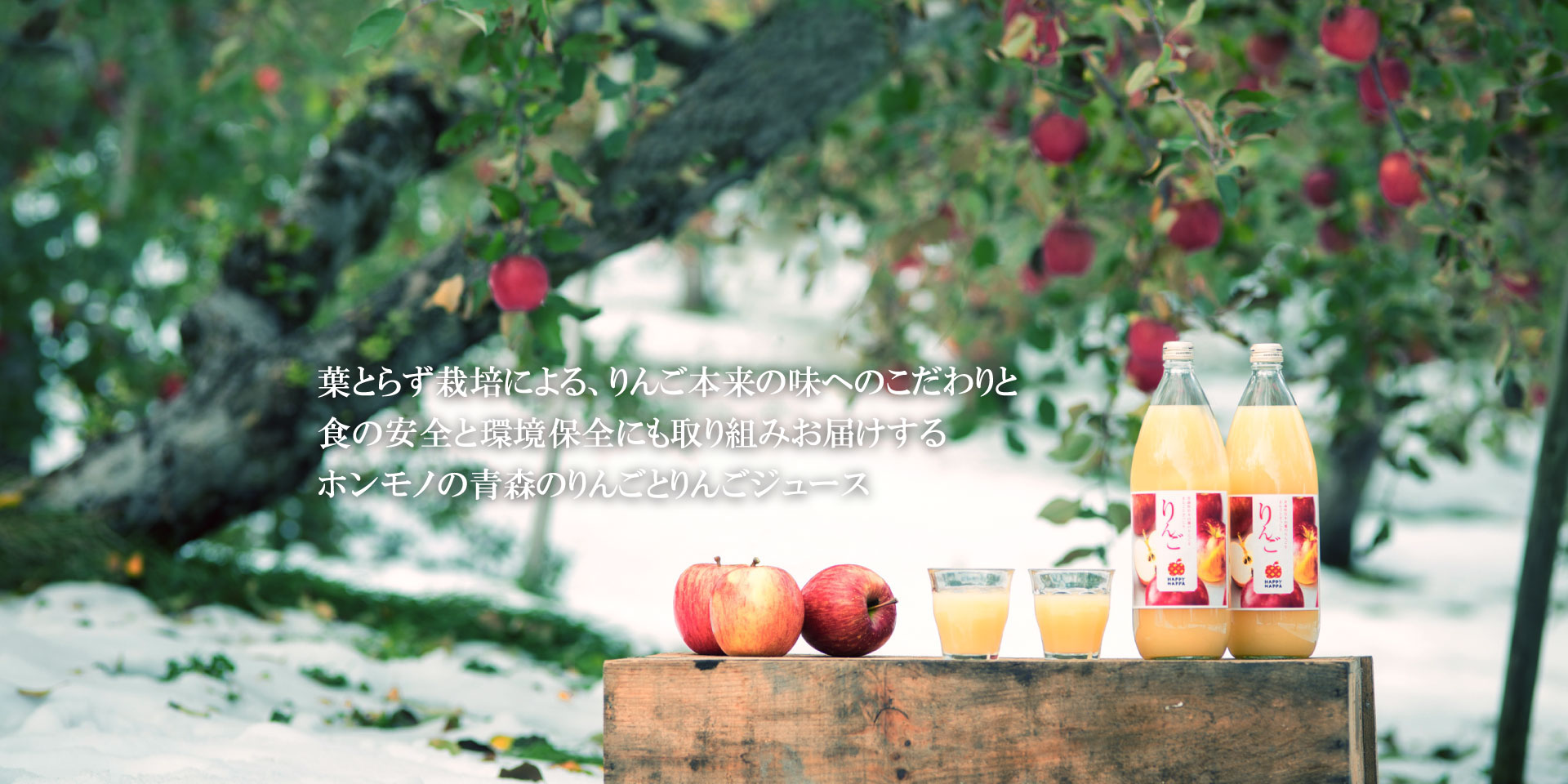 青森の葉とらずりんご HAPPYHAPPAメインイメージ1