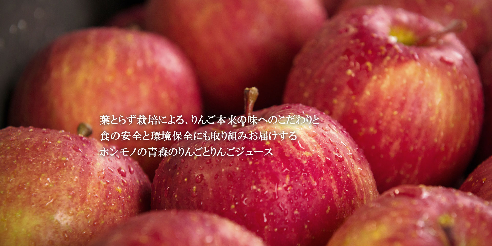 青森の葉とらずりんご HAPPYHAPPAメインイメージ5