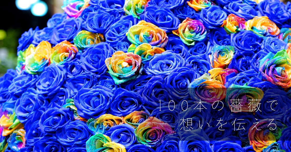 即購入可】 染め薔薇 ◇ Rainbow ◇ ドライフラワー No.3855