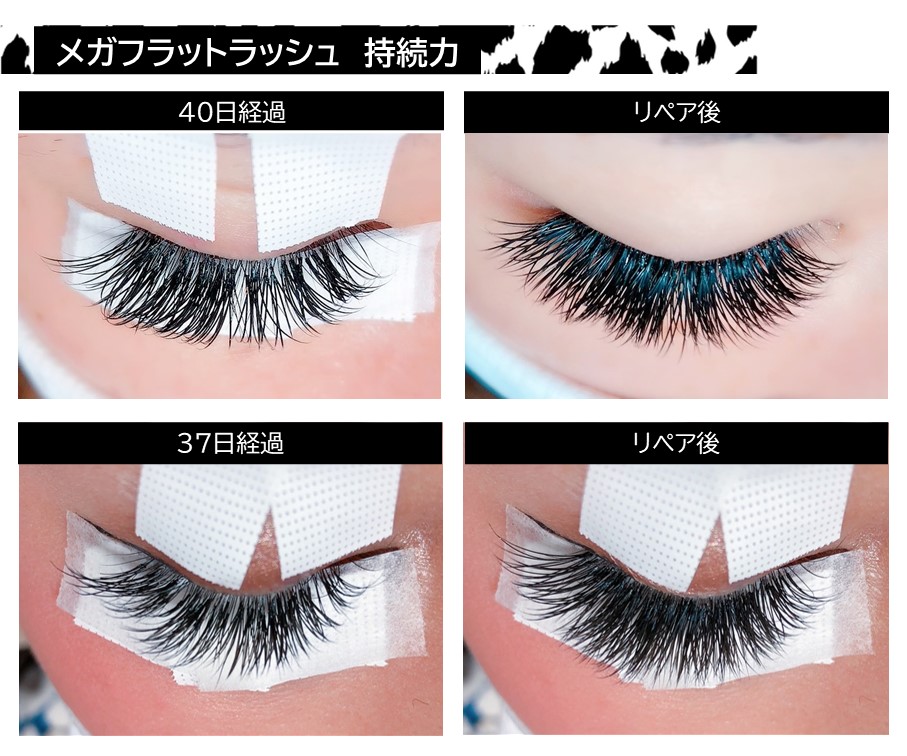 プロ用まつげエクステ商材販売 /【LASH DIVA】ラッシュディーバ