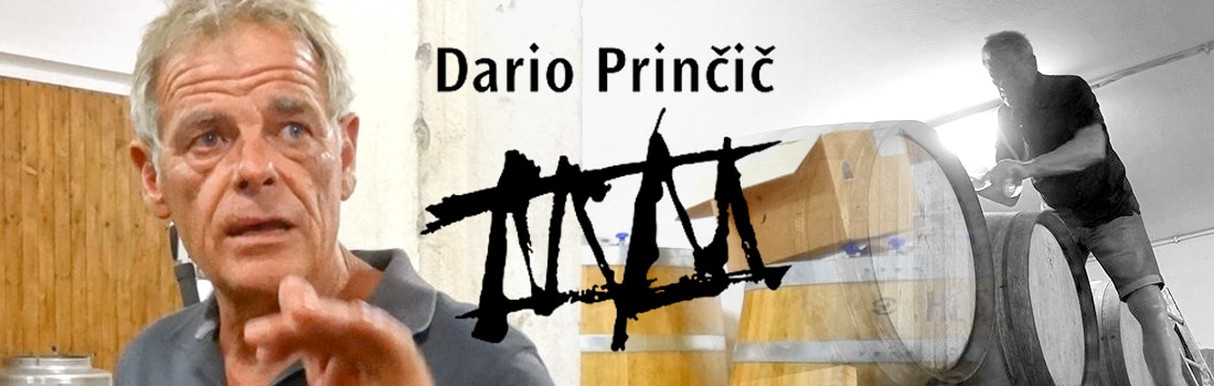 Dario Princic　ダーリオ・プリンチッチ