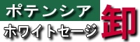 ホワイトセージの卸専門店.ポテンシア　potensia