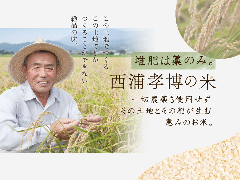 西浦孝博の米　堆肥は藁のみ。